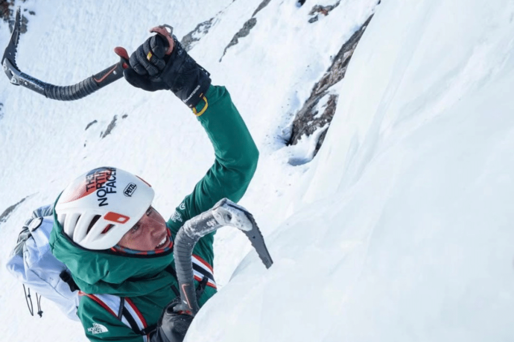 @Collection Fay Manners